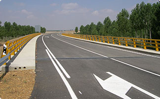Variante de Sahag&uacute;n CL-611